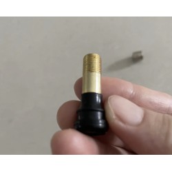 Valva de aer extinsa pentru trotineta Segway ZT3, Segway Max G3 sau similar  - 2 Compatibilitate: valva de aer extinsa pentru Se