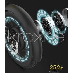 zBike - 250w electric bike - 30 to 50km of autonomy  - 12 zBike - 250w electric bike - 30 to 50km of autonomy
Reserve your unit 