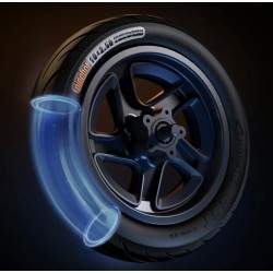 Jante avant complète avec disque de frein pour Segway F2, F2 Plus, F2 Pro ou similaire - 10x2,5 pouces Segway - Ninebot - 6 Jant