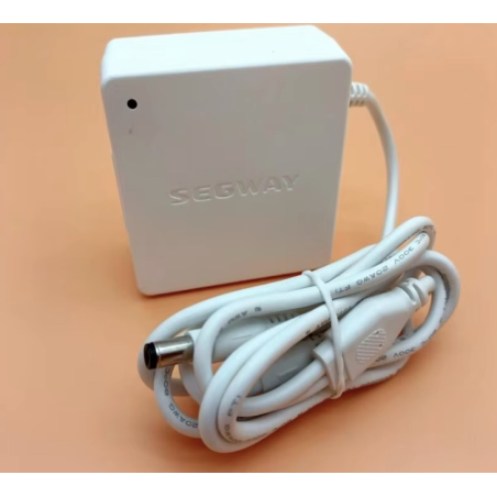 Caricabatteria interno originale per Segway Ninebot W1 Drift - 25v 1,5A  - 1 Caricabatteria interno originale per Segway Ninebot