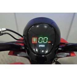 Chetyrekhkolesnyy skladnoy elektrosamokat s kreslom dlya pozhilykh lyudey Segway - Ninebot - 6  